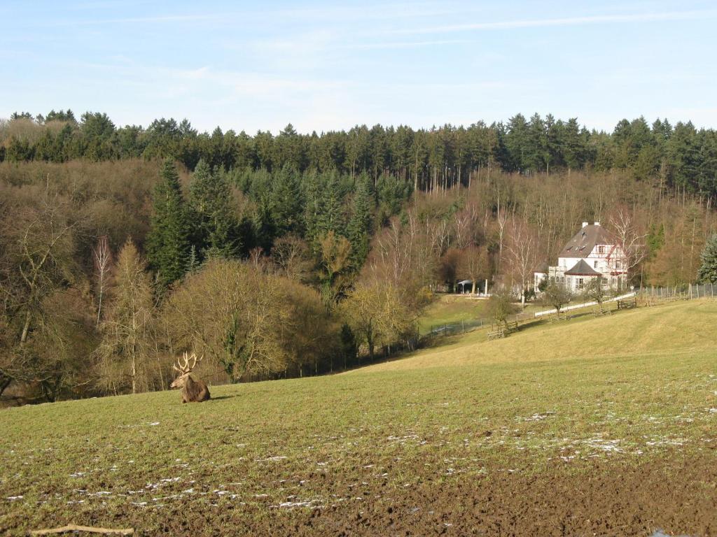 Waldhotel Forsthaus Remstecken Кобленц Екстериор снимка